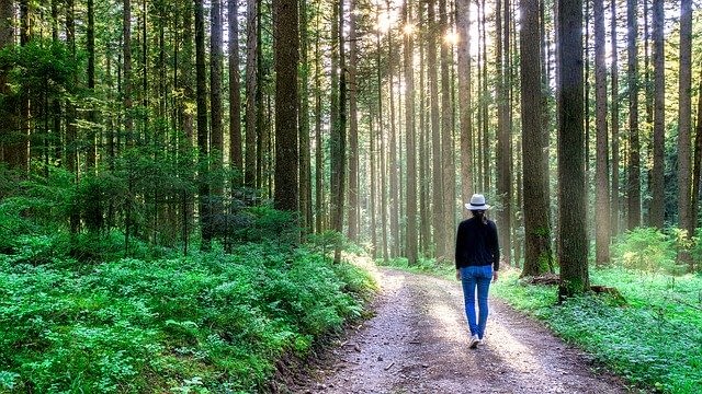 spaziergang