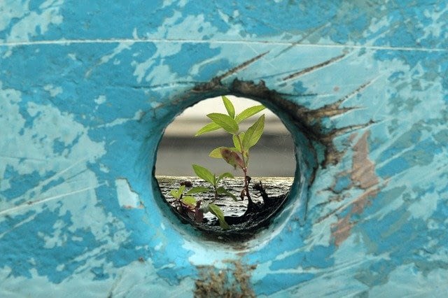 resilienz