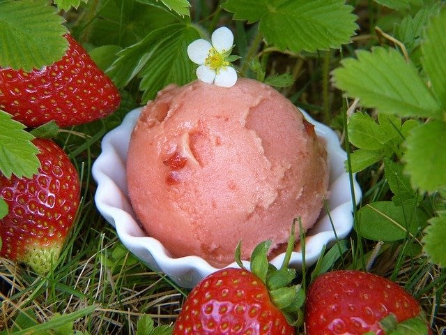 freiräume