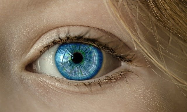blinden fleck