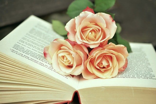 bücher